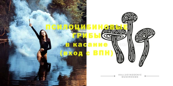 МДПВ Лагань