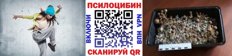 Купить закладки  Геленджик  Галлюциногенные грибы Cubensis 